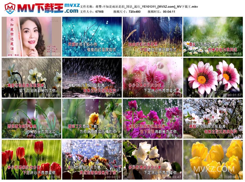 蒋婴-不知是雨还是泪_国语_流行_YE101311